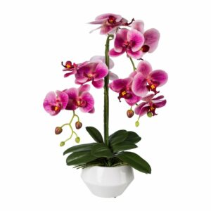 Künstliche Orchideen für Ihr Zuhause kaufen | Wohnfühlidee Magazin