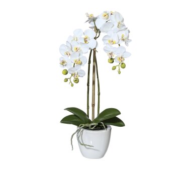Kunstpflanze Mini-Phalenopsis (Orchidee), Farbe...