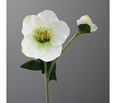 Kunstpflanze Christrose 6er Set, Farbe weiß,...