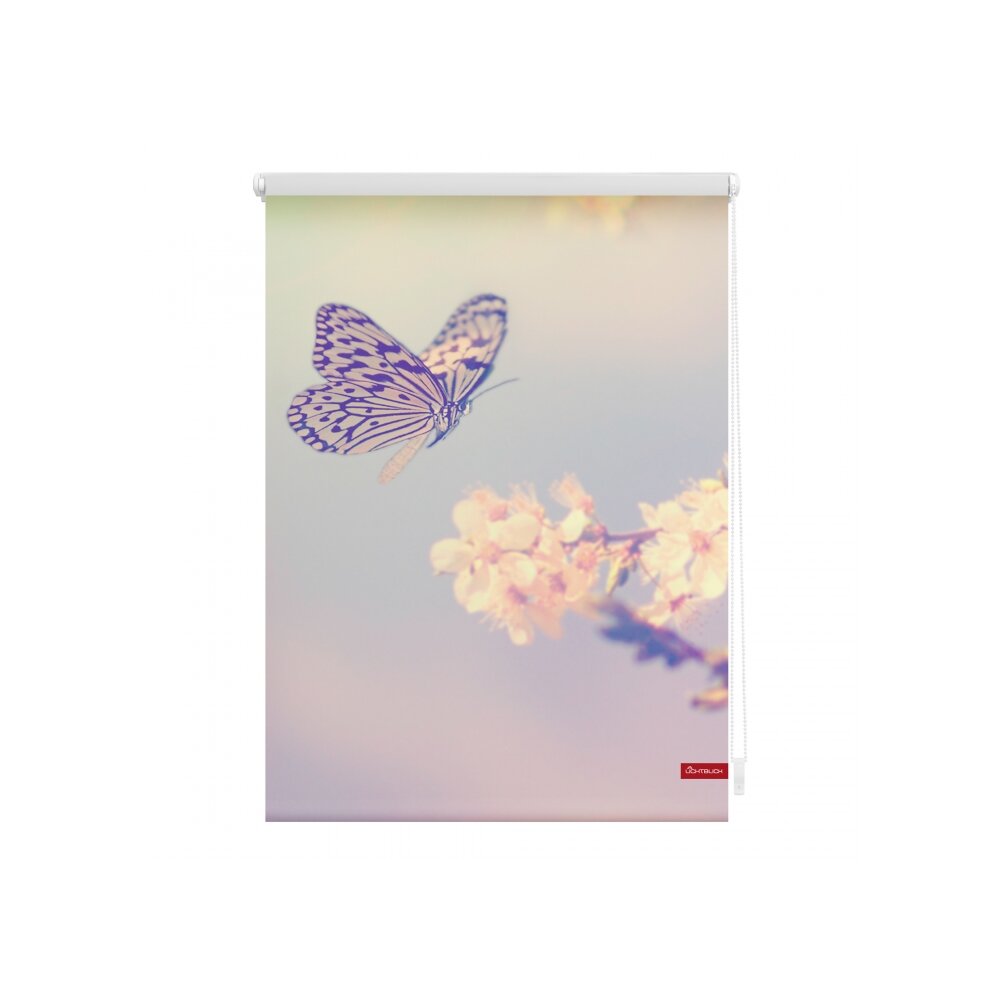 Rollo, Seitenzugrollo Schmetterling-online kaufen