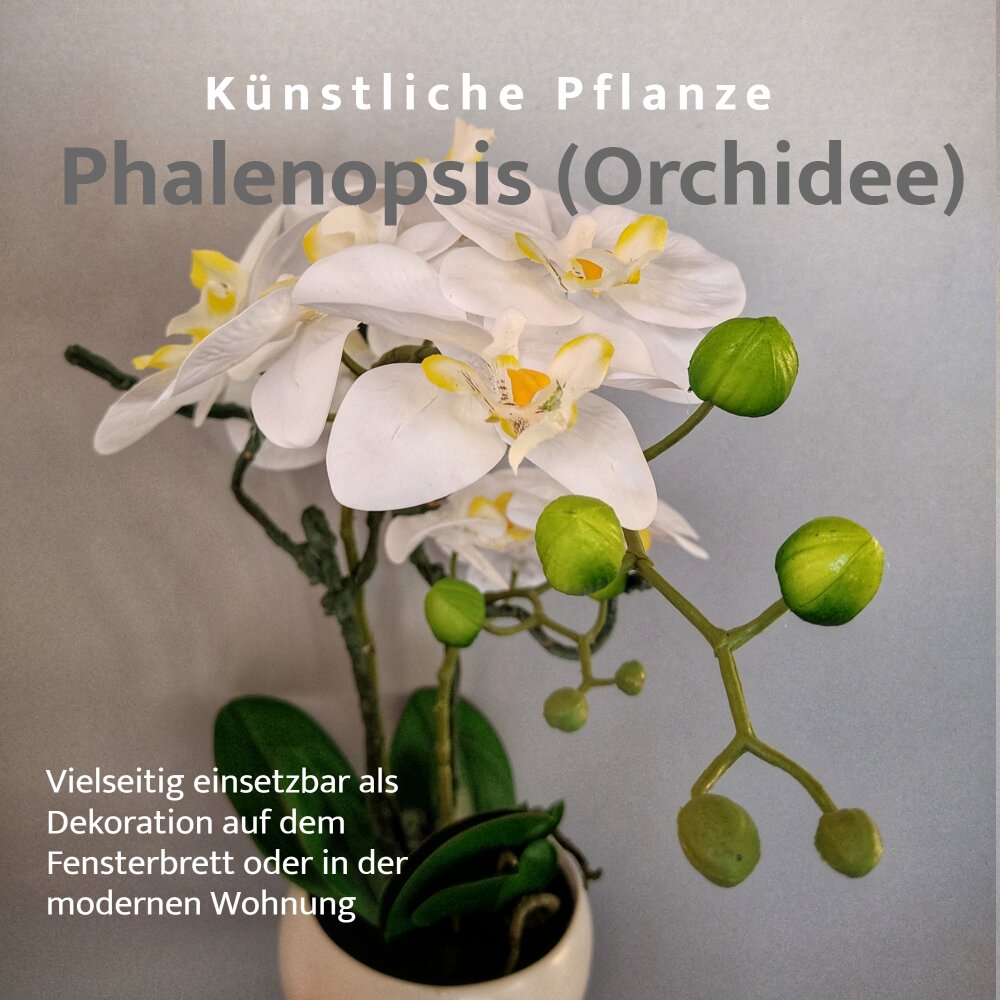 Kunstpflanze Orchidee weiß 42 cm & Schale günstig kaufen