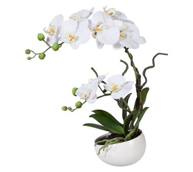 Kunstpflanze Orchidee lila, ca. 65 cm | Wohnfuehlidee