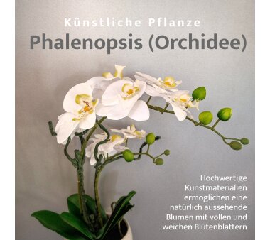 Kunstpflanze Orchidee Phalenopsis, weiß, mit Deko-Keramik-Schale, Kunstblume Höhe 42 cm, Künstliche Orchidee im Topf