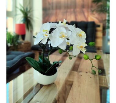 Kunstpflanze Orchidee Phalenopsis, weiß, mit Deko-Keramik-Schale, Kunstblume Höhe 42 cm, Künstliche Orchidee im Topf