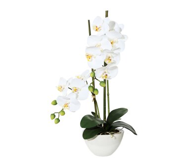 Kunstpflanze Orchidee weiß, 55 bei cm 
