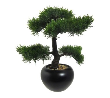 Kunstpflanze Bonsai Zeder grün, mit schwarzem...