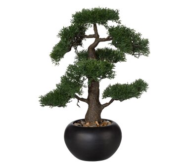 Kunstpflanze Bonsai Zeder grün, mit schwarzem...