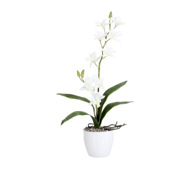 Kunstpflanze Dendrobie (Orchidee) mit 2 Rispen, Farbe...