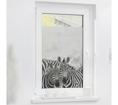 Lichtblick Fensterfolie selbstklebend, Sichtschutz, Zebra schwarz/weiß