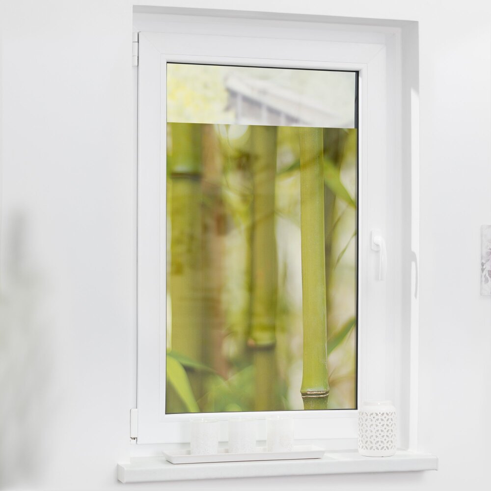 Fensterfolie, selbstklebend + günstig | Wohnfuehlidee