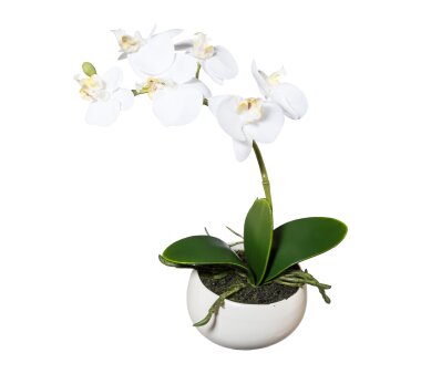 Kunstpflanze Orchidee lila, 60 cm | bei Wohnfuehlidee