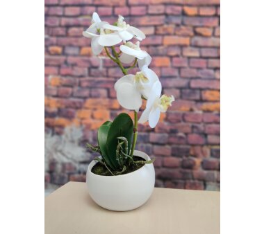Kunstpflanze Phalenopsis (Orchidee), Farbe weiß, mit Keramik-Schale, Höhe 23 cm