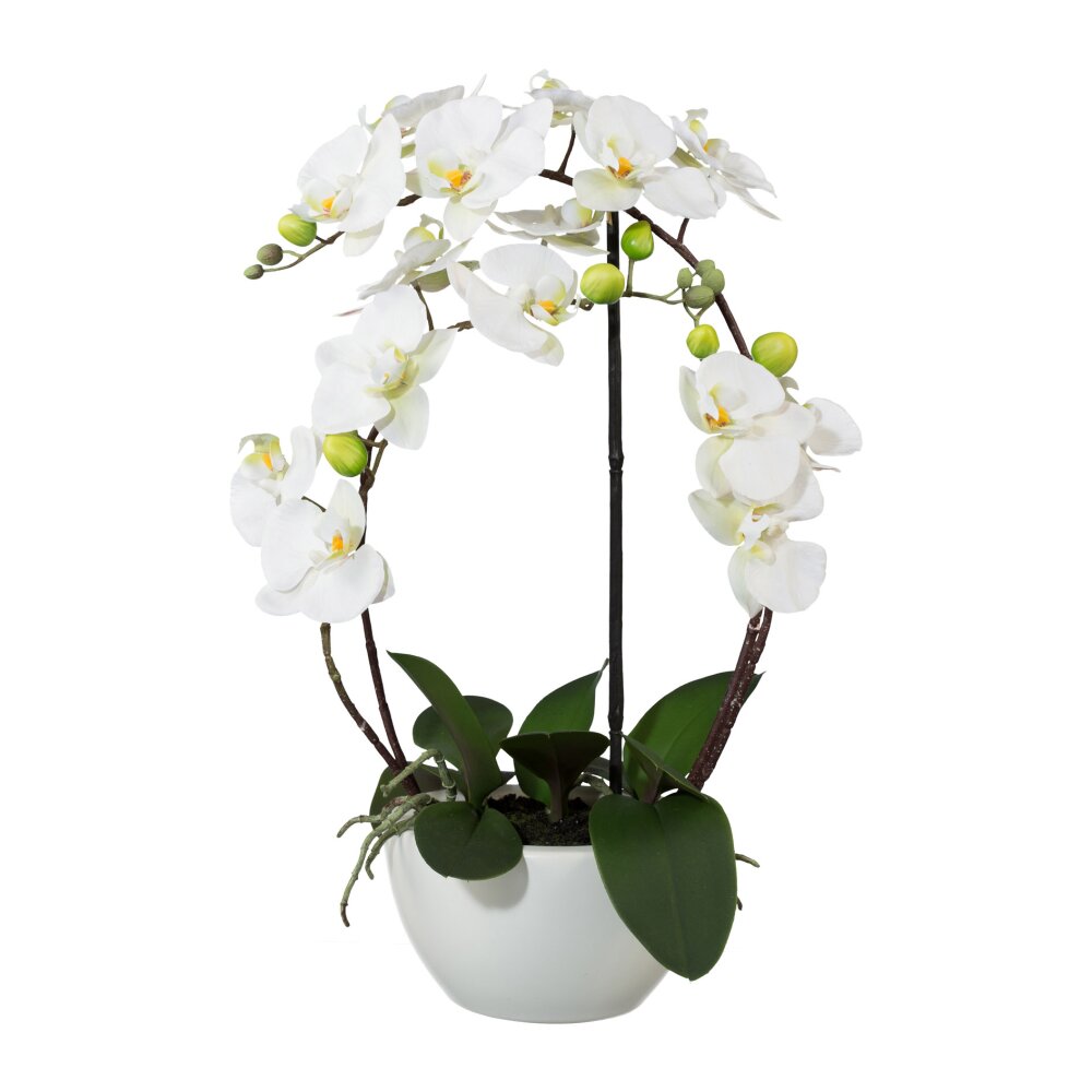 Kunstpflanze Orchidee weiß 52 cm getopft | Wohnfuehlidee