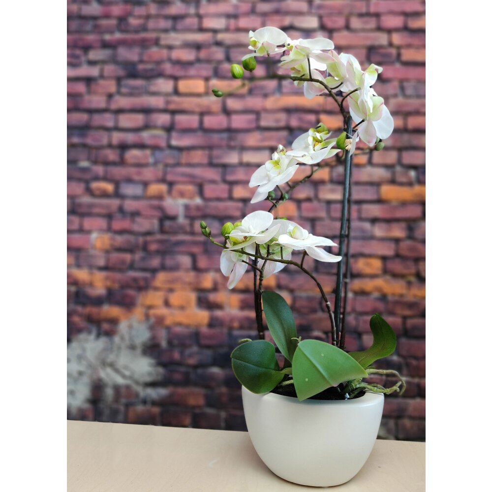Kunstpflanze Orchidee weiß 52 cm getopft | Wohnfuehlidee