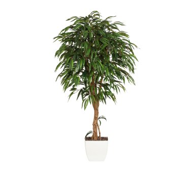 Kunstpflanze Weeping-Ficus grün, mit Naturstamm,  im...