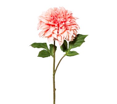 Kunstblume Dahlie, 3er Set, Farbe rosa, Höhe ca. 54 cm