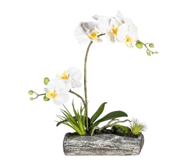 Kunstpflanze Orchideen-Arrangement, Farbe creme, mit...