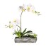 Kunstpflanze Orchideen-Arrangement, Farbe creme, mit Polyresin-Schale, Höhe 40 cm