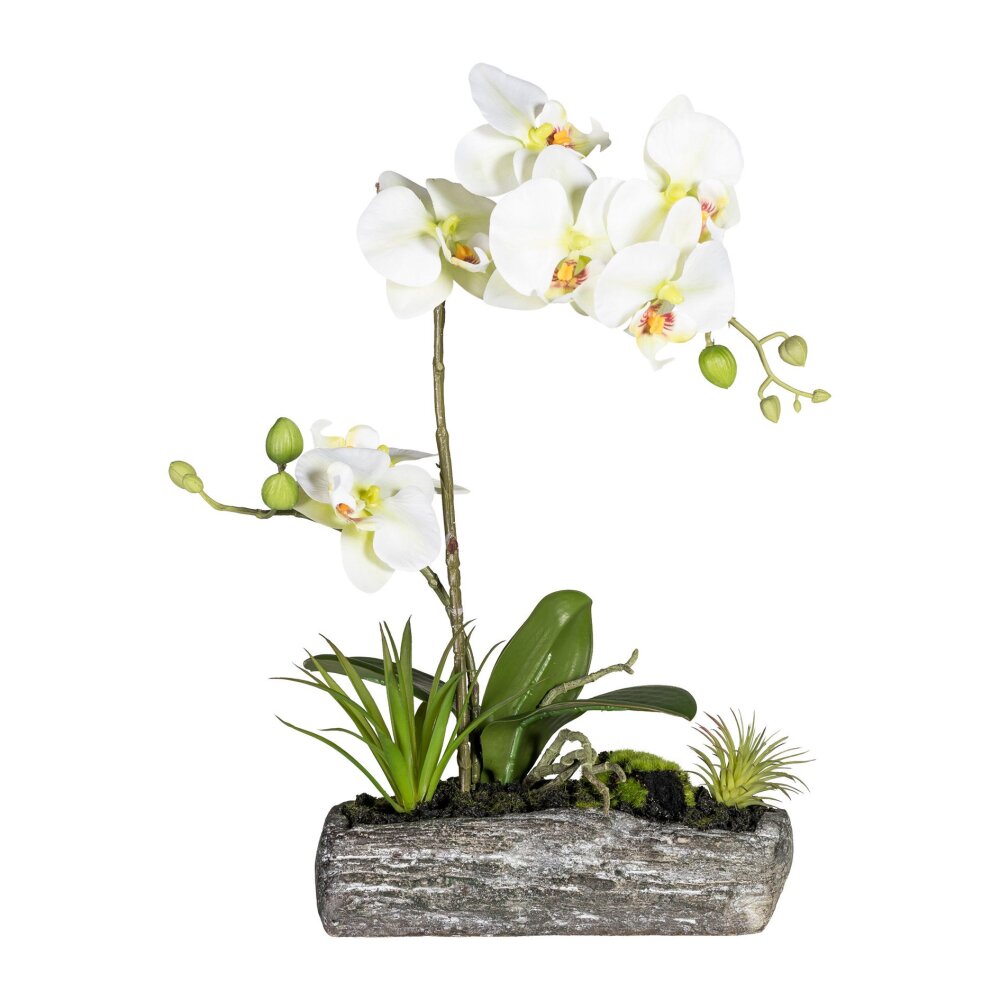 Orchidee grün, Kunstpflanze Polyresinschale cm, 40 mit