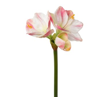 Kunstblume Amaryllis, 2er Set, Farbe rosa, Höhe ca....