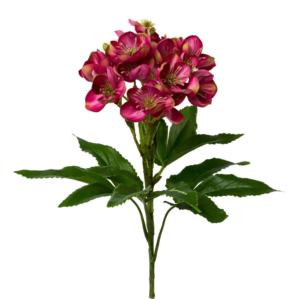 Kunstpflanze Christrose pink, 60 cm | bei Wohnfuehlidee