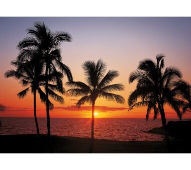 Fototapete SUNNY DECOR, HAWAII, 8 Teile, BxH 368 x 254 cm