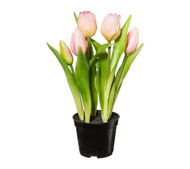 Kunstpflanze Tulpen, Farbe rosa, mit schwarzem...