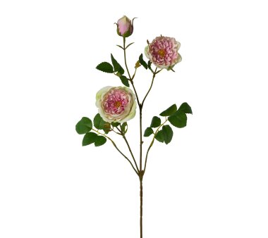 Kunstblume Rosenzweig creme, 3er, 73 cm | Wohnfuehlidee