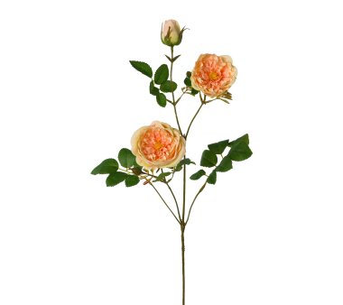 Kunstblume Rosenzweig grün, 3er, 73 cm | Wohnfuehlidee