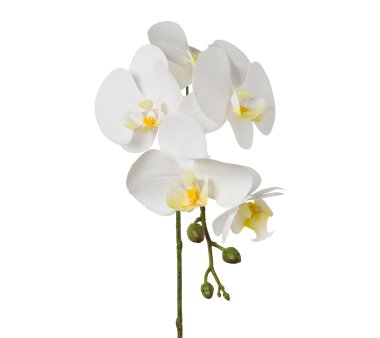 Kunstblume Phalenopsis (Orchidee), 5er Set, Farbe...