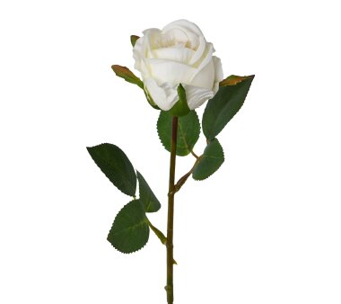 Kunstblume Rose, 8er Set, Farbe weiß, Höhe ca....