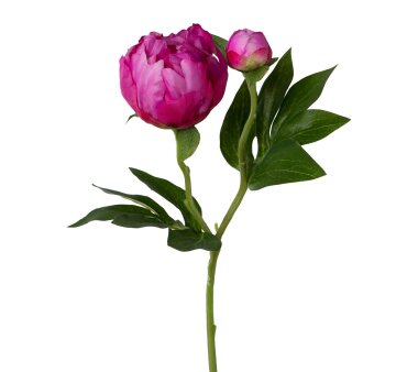 Kunstblume Amaryllis, 5er Set, Rosa kaufen