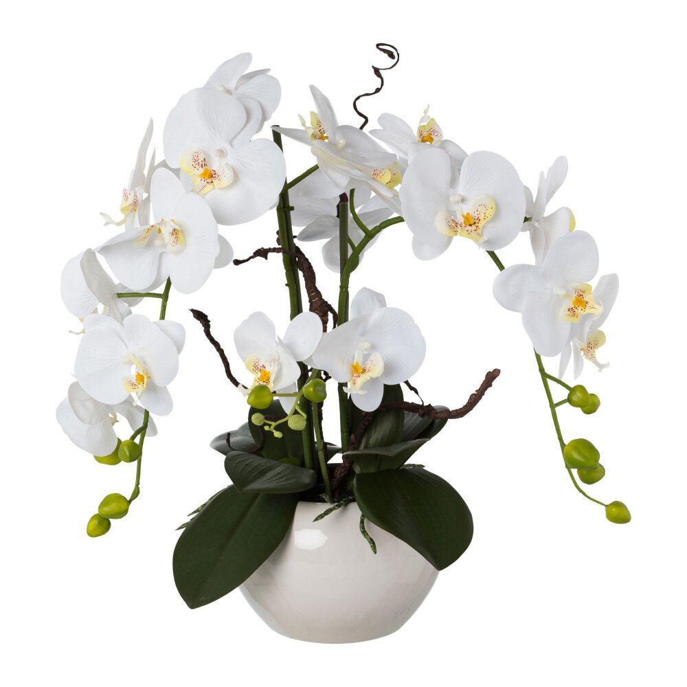 Kunstpflanze Orchidee weiß, 55 cm | bei