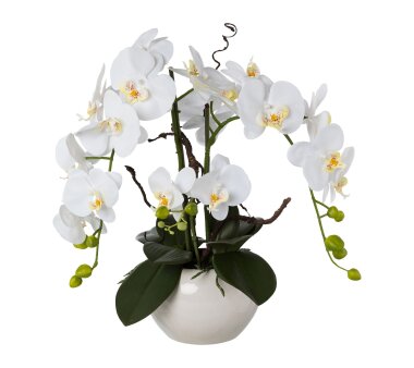 Kunstpflanze Orchidee weiß, 55 cm, Silbertopf | kaufen
