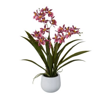 Kunstpflanze Gambia-Orchidee, Farbe dunkelrosa, inkl....