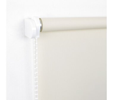 LIEDECO Seitenzugrollo Uni-Tageslicht 062 x 180 cm Fb. cream