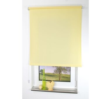 LIEDECO Seitenzugrollo Uni-Tageslicht 082 x 180 cm Fb. gelb