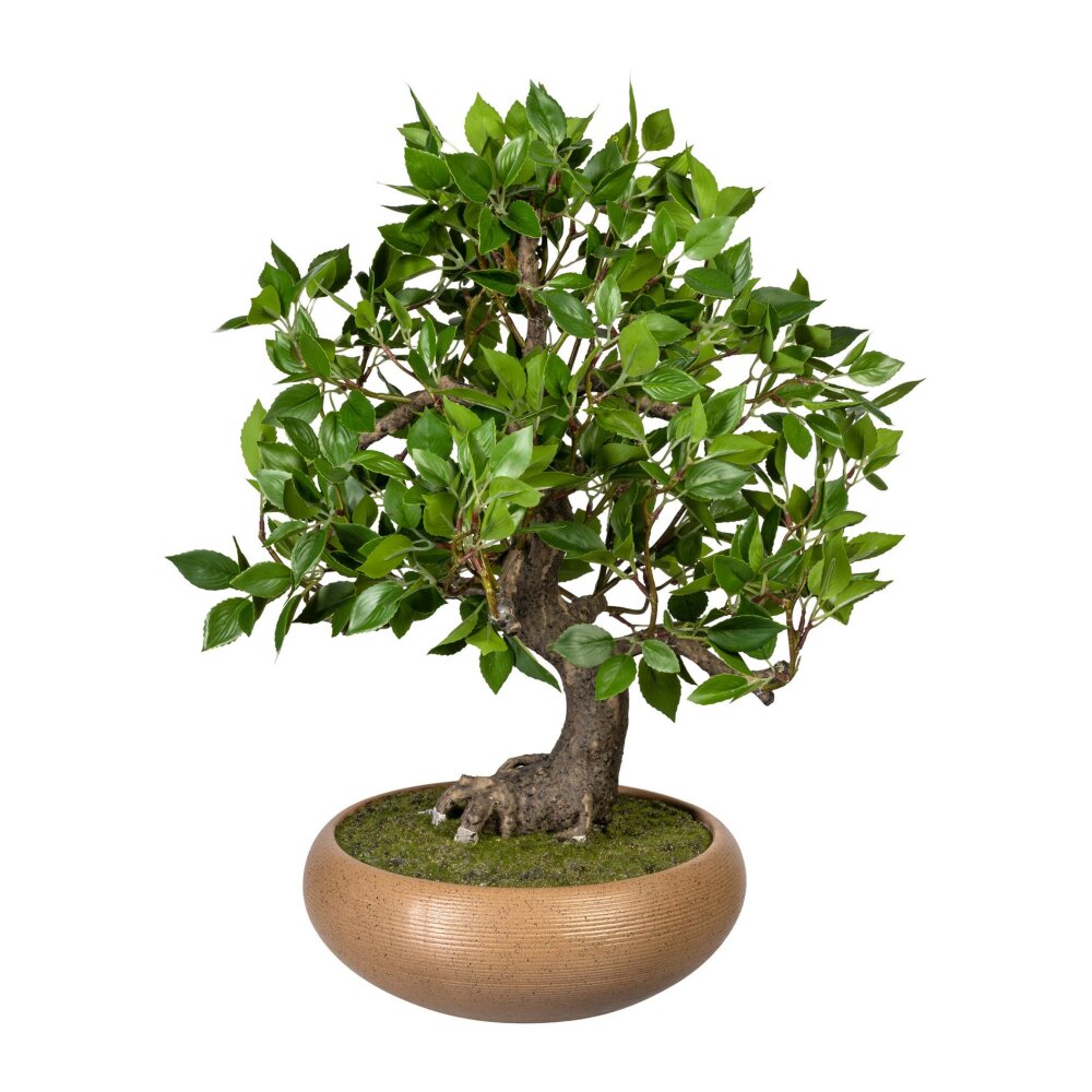 | Wohnfuehlidee grün, Bonsai Ficus Kunstpflanze 50x40 cm