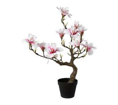 71 cm Magnolienbaum Kunstpflanze | weiß, Wohnfuehlidee