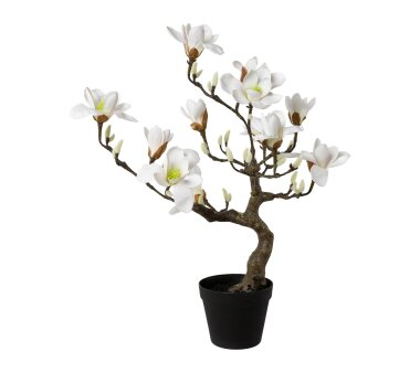 Kunstpflanze Magnolienbaum weiß, im...