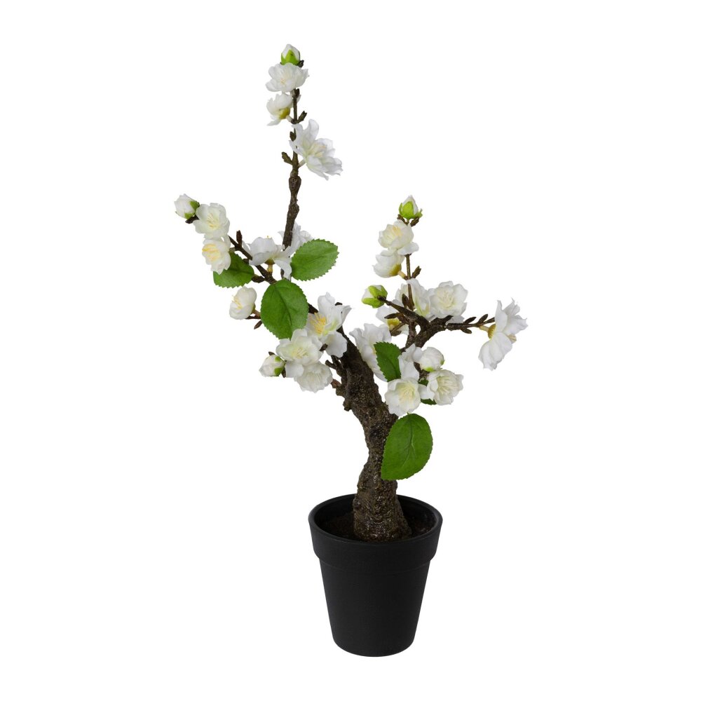 Kunstpflanze Bonsai Kirschblüte weiß,2er | Wohnfuehlidee
