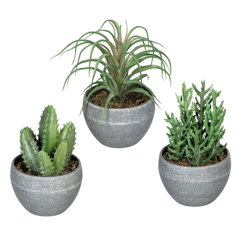 Kunstpflanze Sukkulenten grün, 3er, 16cm | Wohnfuehlidee