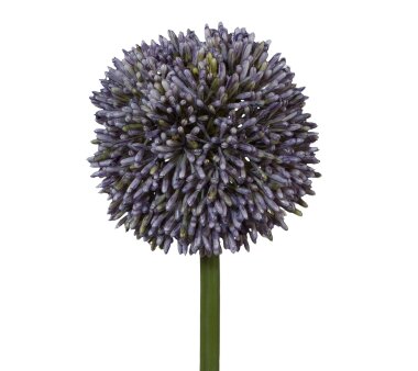 Kunstblume Allium, 3er Set, Farbe lila, Höhe ca. 64 cm