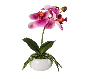 Kunstpflanze Phalenopsis (Orchidee), 2er Set, Farbe...