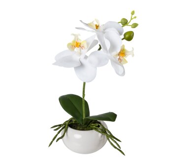 Kunstpflanze Phalenopsis (Orchidee), 2er Set, Farbe...