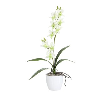 Kunstpflanze Orchidee Dendrobie, Farbe hellgrün,...