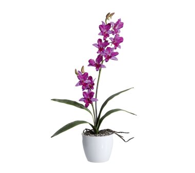lila, 60 | bei Orchidee Kunstpflanze cm Wohnfuehlidee