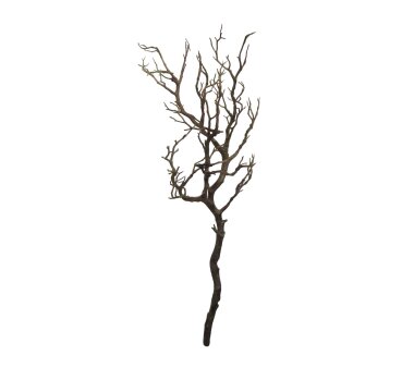 Kunstpflanze Deko-Ast, Farbe natur, Höhe ca. 97 cm