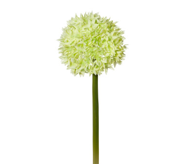 Kunstblume Allium, 2er Set, Farbe grün, Höhe...