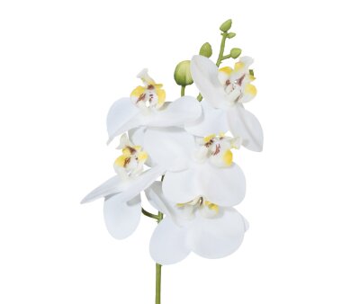 Kunstblume Miniphalenopsis, 5er Set, Farbe weiß,...